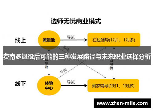 费南多退役后可能的三种发展路径与未来职业选择分析