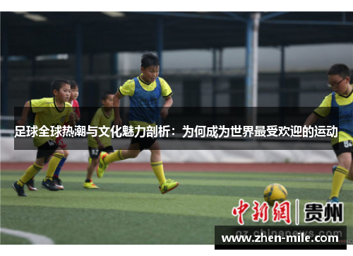 足球全球热潮与文化魅力剖析：为何成为世界最受欢迎的运动
