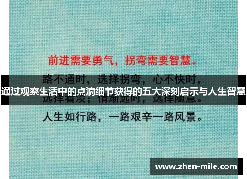 通过观察生活中的点滴细节获得的五大深刻启示与人生智慧
