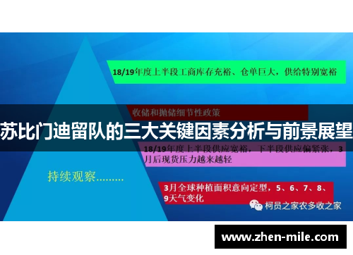 苏比门迪留队的三大关键因素分析与前景展望