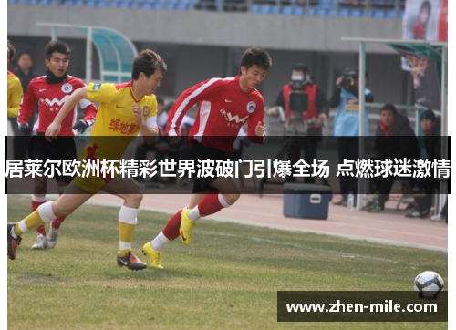 居莱尔欧洲杯精彩世界波破门引爆全场 点燃球迷激情